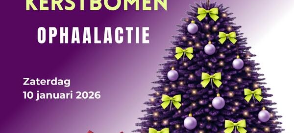 Feestdagen = mogelijk aangepaste ophaaltijden voor containers door Reinis Feestdagen = mogelijk aangepaste ophaaltijden voor containers door Reinis