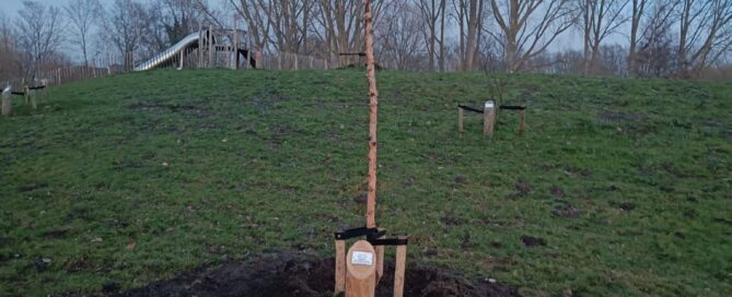 Mooie dag om een boom te planten