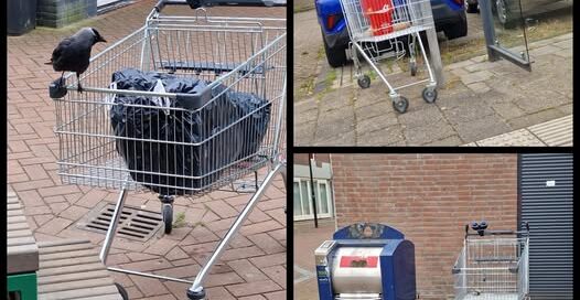 Winkelwagens in de wijk